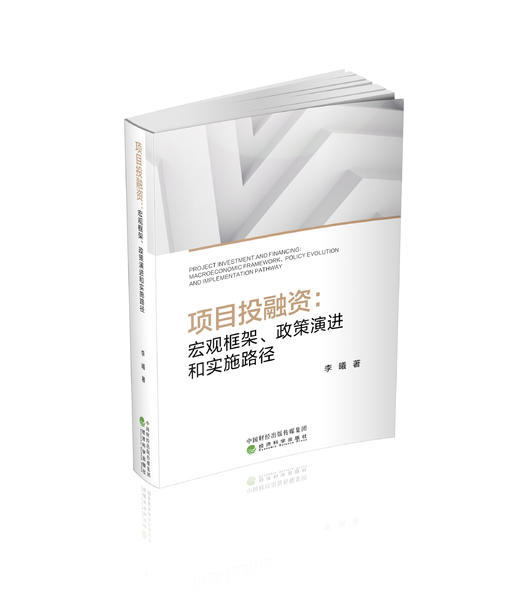 项目投融资:宏观框架、政策演进和试试路径 商品图0