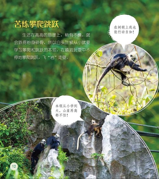 《了不起的动物朋友》（全20册） 商品图3