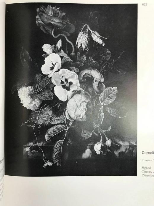 十七世纪荷兰画家（卷2） 数百幅插图 精装大16开 商品图5