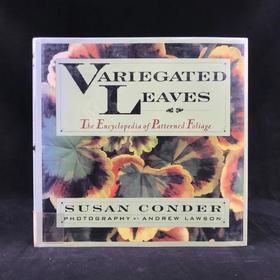 斑叶百科全书 数百幅彩色插图 精装16开