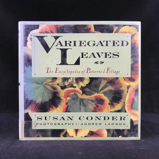 斑叶百科全书 数百幅彩色插图 精装16开 商品图0