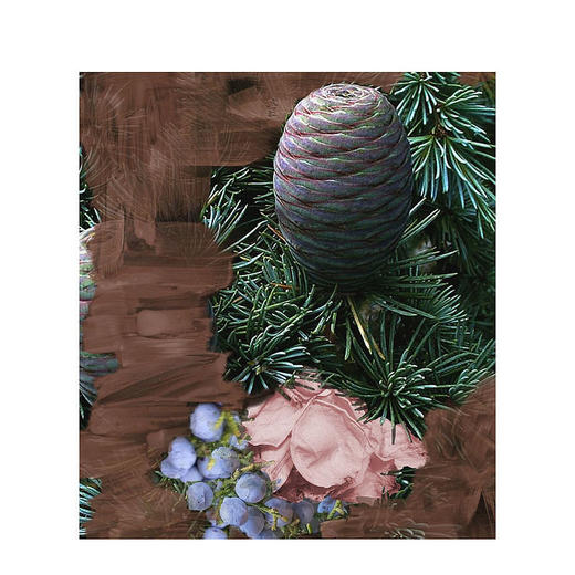 BYREDO北国之春（超级雪松）中性淡香水 50ml/100ml 花香木质调 商品图4