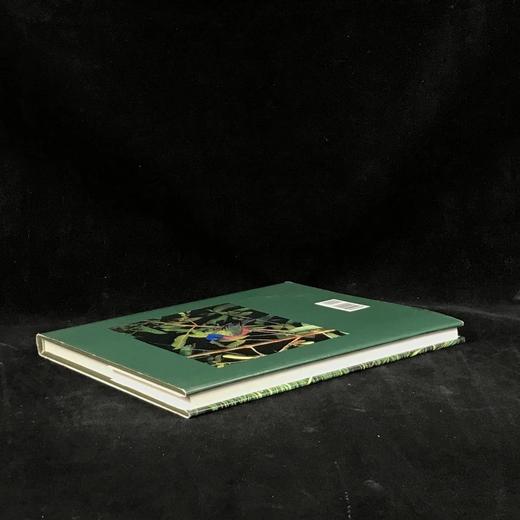 消失的鸣禽 126幅彩色插图 精装大16开 商品图2