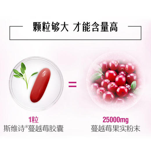 【保税仓】Swisse蔓越莓胶囊 30粒 商品图2