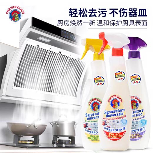 意大利大公鸡管家CHANTECLAIR强力去污去油污600ML多款可选 商品图1