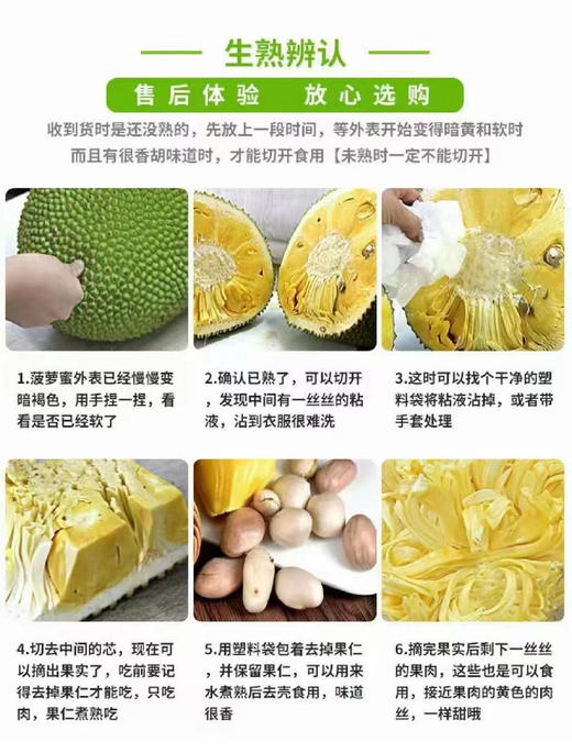 越南红肉菠萝蜜 商品图7