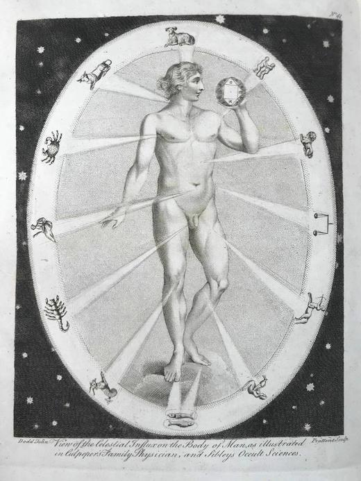 1789年 卡尔佩珀《英国医生与药草全书》 450余幅版画插图 漆布精装16开 商品图11