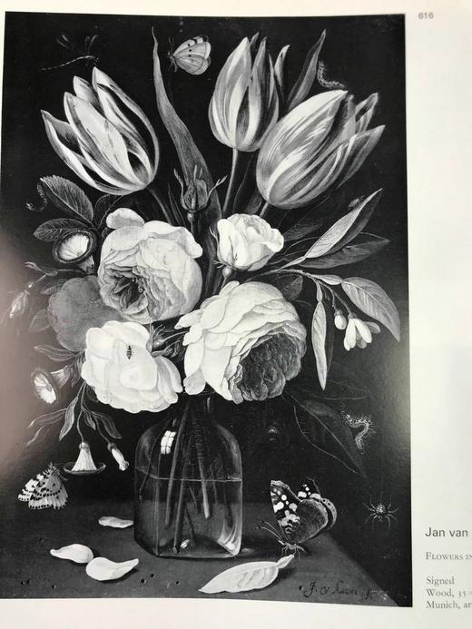 十七世纪荷兰画家（卷2） 数百幅插图 精装大16开 商品图7