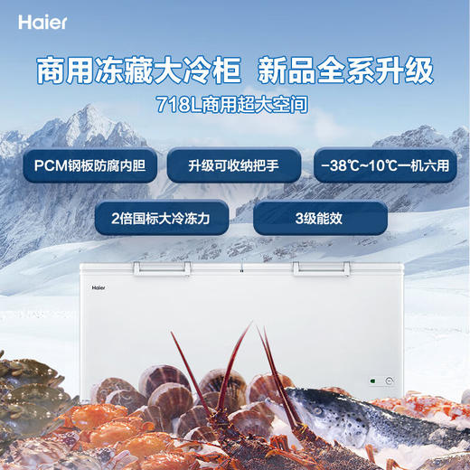 海尔（Haier）718升卧式商用家用冰柜 商用大容量冷藏柜大冷冻柜冰柜家用大冷柜BC/BD-718GHEPD  JD 商品图5