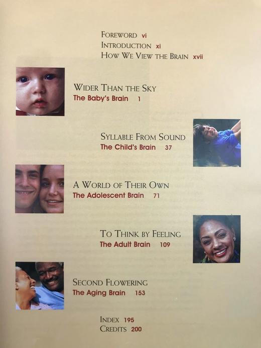 大脑的秘密生活 数百幅插图 精装16开 商品图5