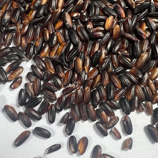 【贵泽甄选】一米距离  五常黑米/糯米/血糯米  2.5kg 商品图10