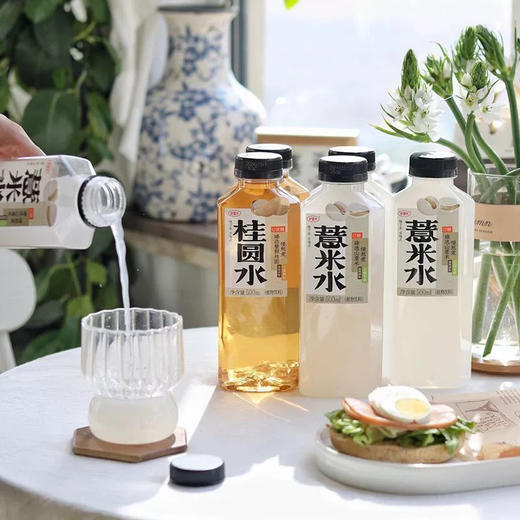 好望山桂圆水500ml 商品图0