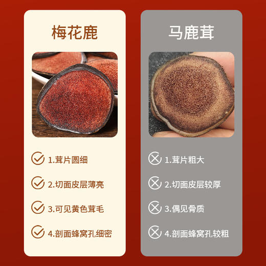 咏芝元 壮鹿主角血片鹿茸片 商品图1