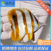 三间火箭Chelmon rostratus 商品缩略图0