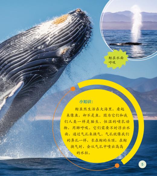 《了不起的动物朋友》（全20册） 商品图13