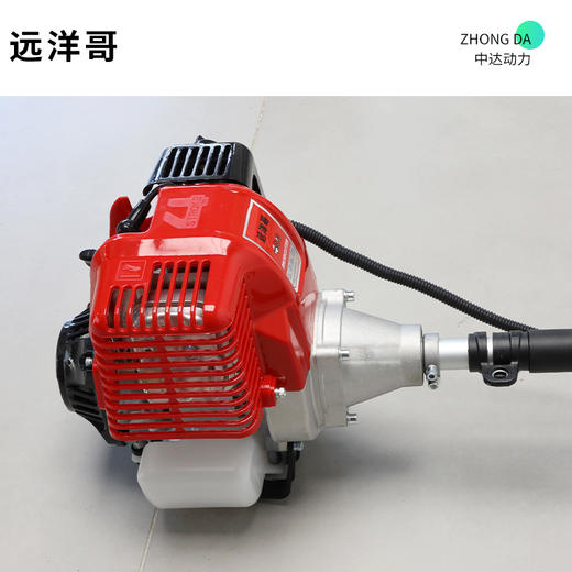 远洋哥 YYG-150 商品图5