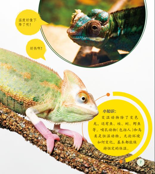 《了不起的动物朋友》（全20册） 商品图10