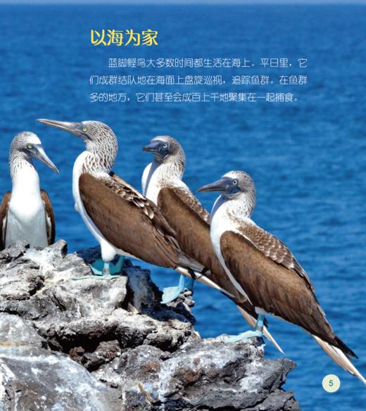 《了不起的动物朋友》（全20册） 商品图9