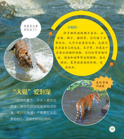 《了不起的动物朋友》（全20册） 商品图8