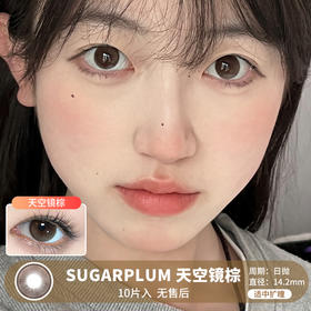 Sugarplum糖豆 / 天空镜棕 / 美瞳日抛 / 10片入 / 14.2mm / 适中扩瞳