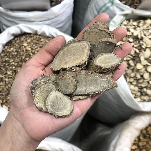 莪术 常用规格 生莪术   切片 商品图4