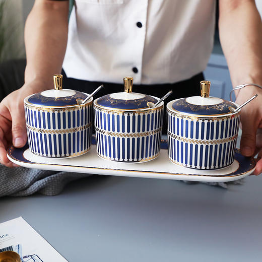 诺轩北欧式轻奢陶瓷调料罐糖罐调味瓶单个 商品图1