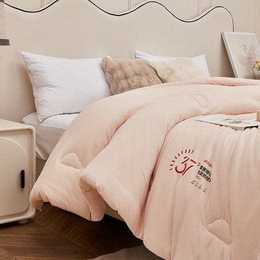 红蜻蜓 被子冬被双人纤维水晶绒被芯-热力绒冬被 商品图1