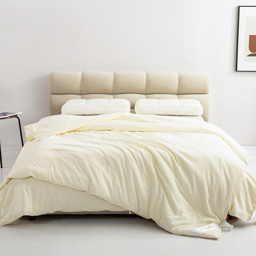 红蜻蜓 家纺纤维被子棉被冬被二合一拉链款保暖被芯春秋被-大豆子母被 商品图0