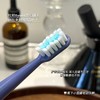 贸易公司订单电动牙刷 商品缩略图13