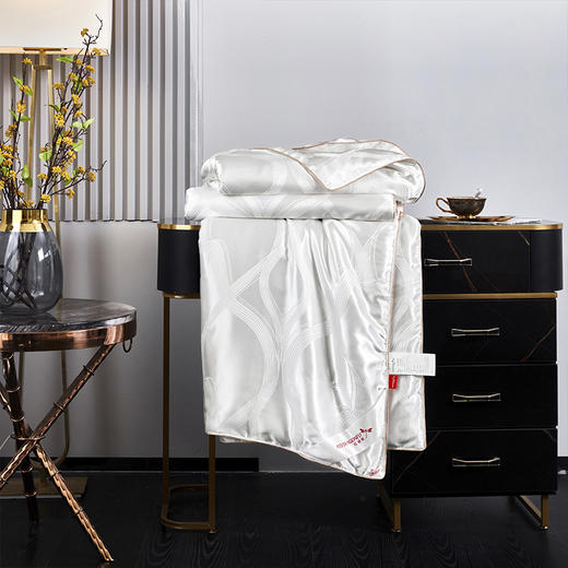 红蜻蜓蚕丝棉被学生宿舍双人冬被加厚保暖被子被芯-格韵蚕丝润肤冬被 商品图2