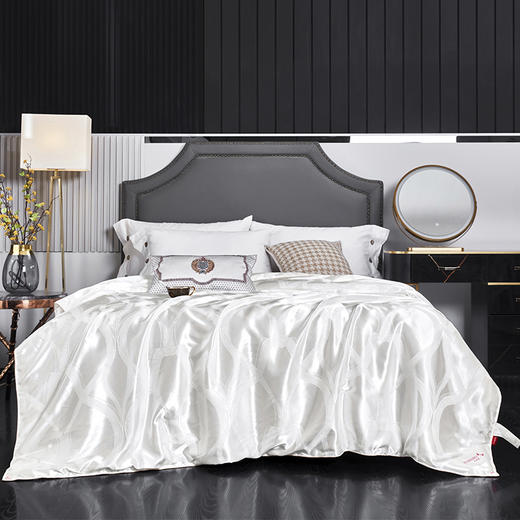 红蜻蜓蚕丝棉被学生宿舍双人冬被加厚保暖被子被芯-格韵蚕丝润肤冬被 商品图0