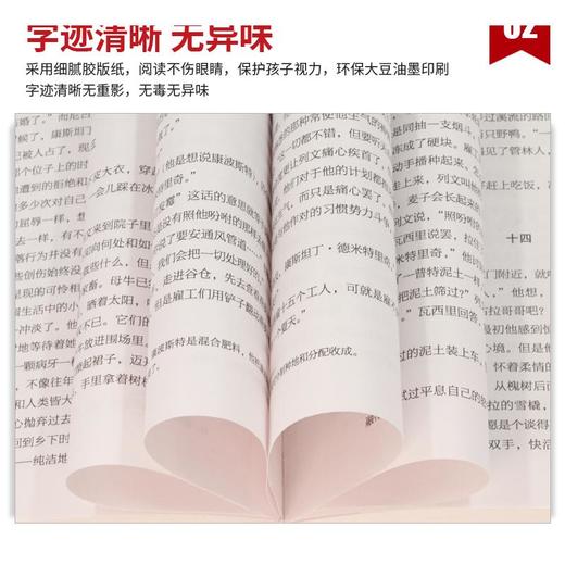 安娜·卡列尼娜 名家名译版(全2册) 商品图1
