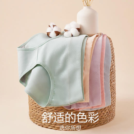 多巴胺色系纯棉女士内裤女中腰大码透气抗菌裆纯欲少女式女生三角裤内裤 商品图0