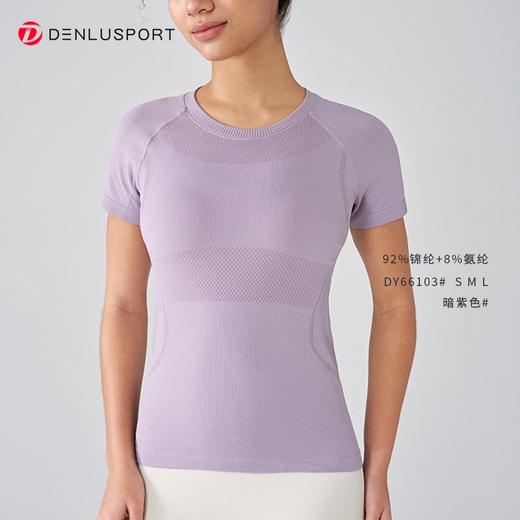 DENLUSPORT经典返单款无缝运动健身半袖DY66103#JY-DX-6672 商品图4