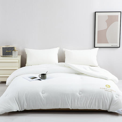 红蜻蜓 A类科技玉米纤维抱抱被春秋被芯加厚原棉保暖冬被-玉米软糯被 商品图0