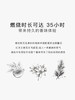SG79｜N21 安伯伍德 [ 斯德哥尔摩的蹁跹_ 香氛蜡烛 ] 商品缩略图2