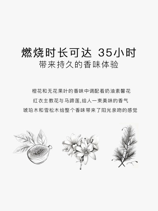 SG79｜N21 安伯伍德 [ 斯德哥尔摩的蹁跹_ 香氛蜡烛 ] 商品图2