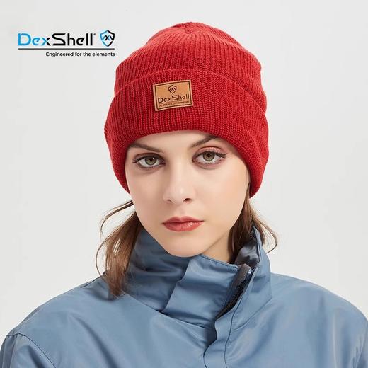 【129到手！】DexShell戴适帽子WatchBeanie羊毛针织防水防风帽（确认收货原路退款40元！） 商品图1