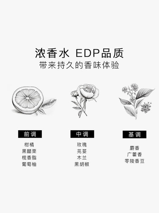 SG79｜N2 EDP 邂逅冲突 [ 斯德哥尔摩的剪影_ 浓香 ] 商品图7