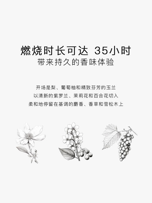 SG79｜N22 天际彩虹 [ 斯德哥尔摩的姽婳_ 香氛蜡烛 ] 商品图2