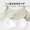 TG02S226真丝无痕贴合薄款内衣 蕾丝性感桑蚕丝无钢圈文胸大胸显小 商品缩略图3