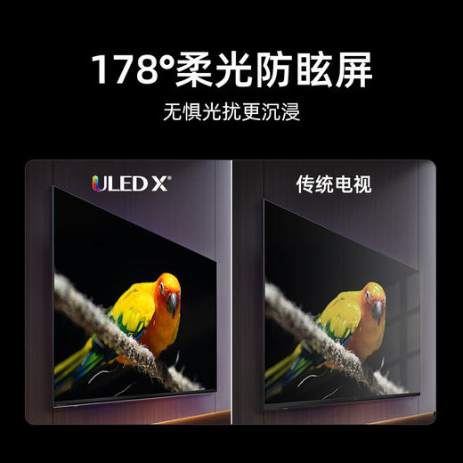 海信电视100E8N 100英寸 ULED X 2592分区Mini LED 4000nits 柔光防眩屏 超薄 游戏巨幕 欧洲杯 商品图6