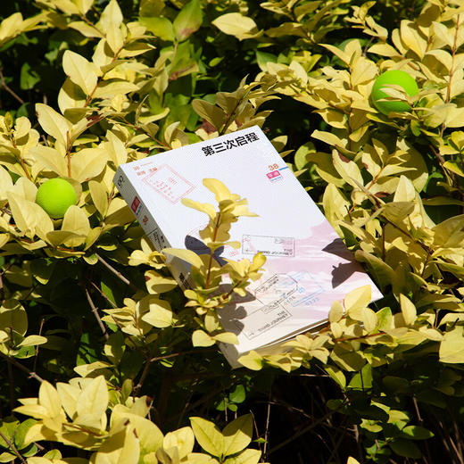 单读38·第三次启程 （单读MOOK全新一辑，汇编 “水手计划”部分作品，呈现当代中国新一代作家对远方的热望） 吴琦主编 商品图7