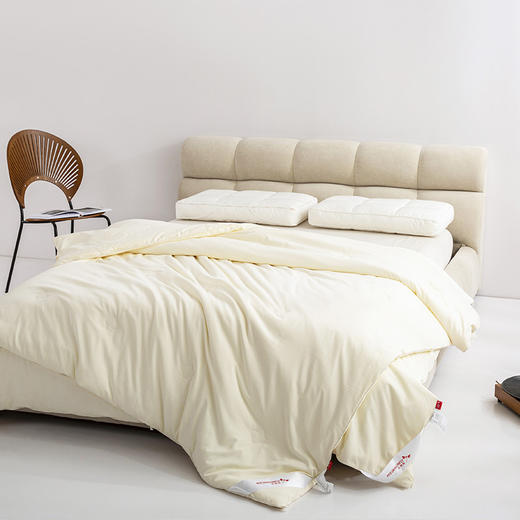 红蜻蜓 家纺纤维被子棉被冬被二合一拉链款保暖被芯春秋被-大豆子母被 商品图1