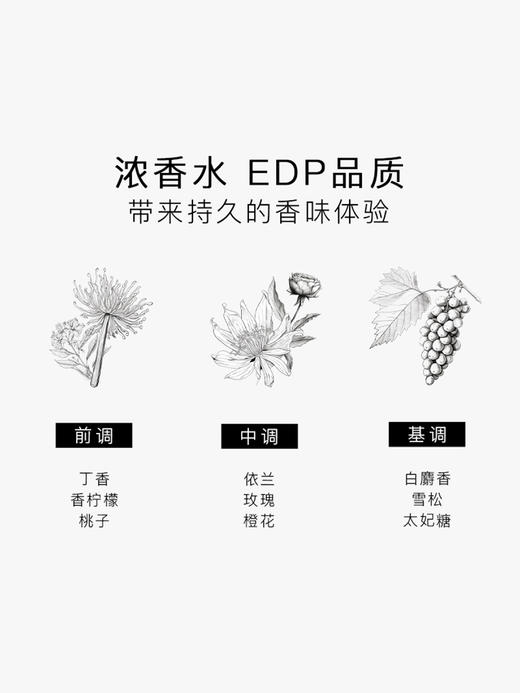SG79｜N17 EDP 如梦如烟 [ 斯德哥尔摩的盛夏_ 浓香 ] 商品图3