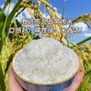五常稻花香2号大米|2025年新米，现磨现发 商品缩略图1