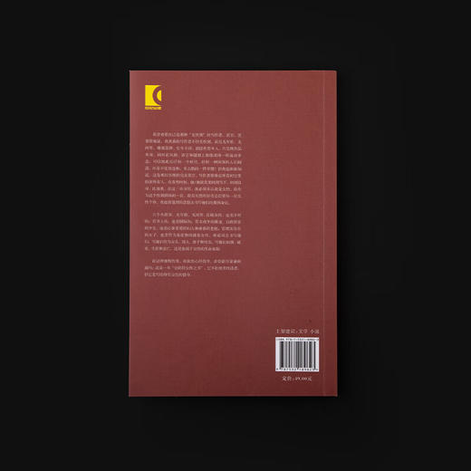 疼痛之子（《时间的仆人》作者蒯乐昊最新短篇小说集，一本“全龄段女性之书”，一封写给所有女性的情书） 商品图2