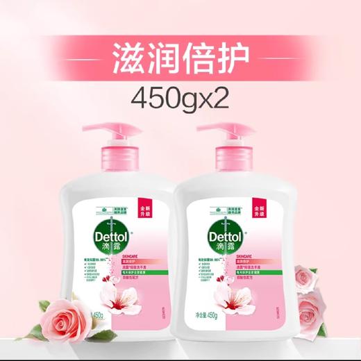 滴露滋润洗手液450g+450g 商品图0