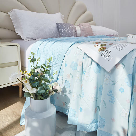 红蜻蜓 小凉皮豆豆被空调被春秋薄被子儿童午睡夏被夏季宿舍单人200*230cm 商品图3