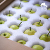 生态高原早蜜梨| 合作生产*Ecological plateau early honey pear| Partner Production 商品缩略图4